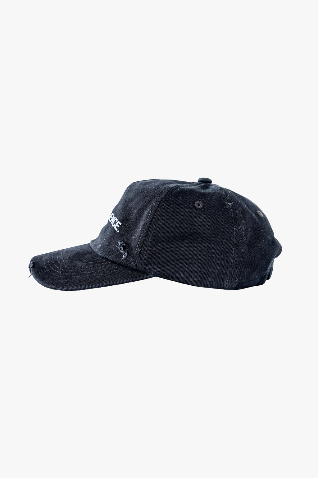 TRAIN IN SILENCE HAT